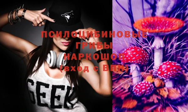 тгк Осташков